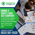Quantum Agency 3.jpg