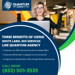 best white label seo firm.png