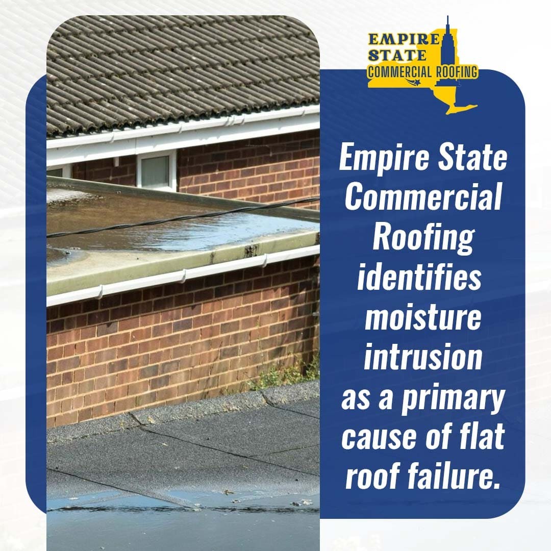flat-roof-moisture-intrusion-empire-state-commercial-roofing.jpg