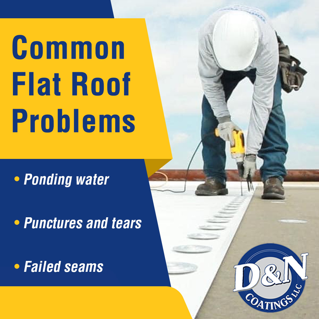D & N Coatings 1 v2.jpg