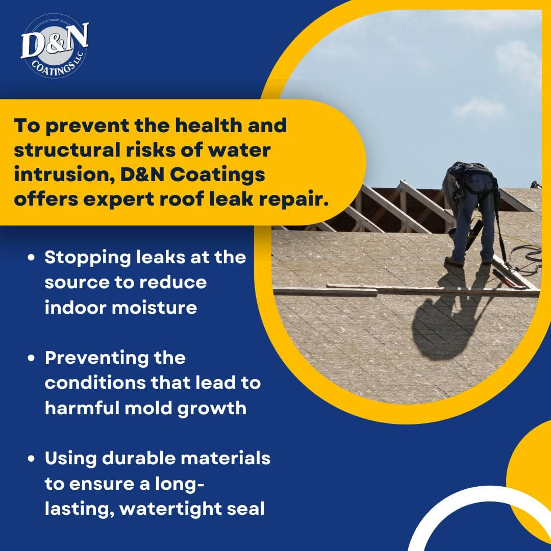 D&N Coatings Residential Roof Leak Repair.jpg