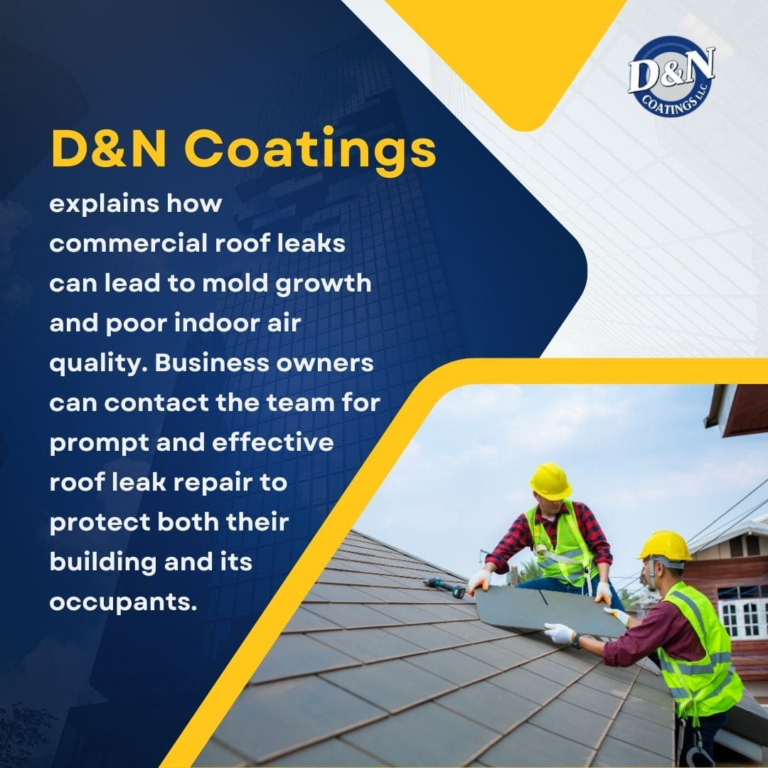 D&N Coatings Commercial Roof Leak Prevention.jpg