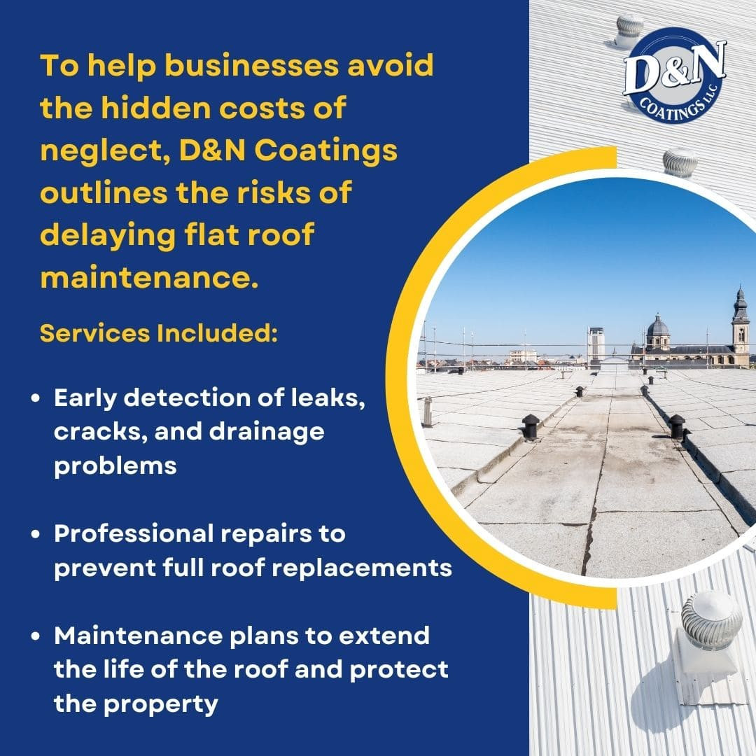 D&N Coatings Flat Roof Maintenance Services.jpg