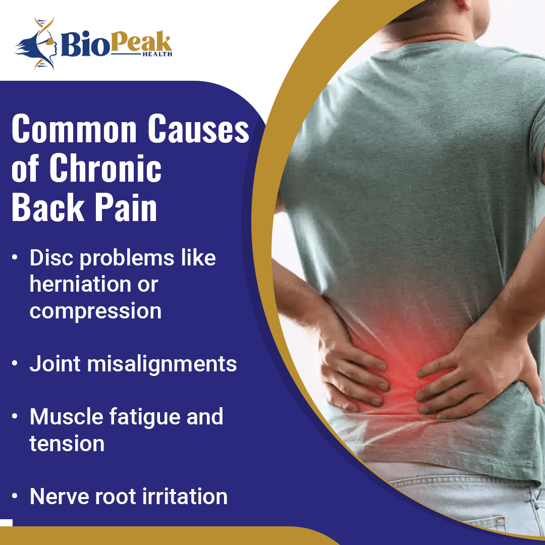 Right Chiropractor in North Raleigh.png