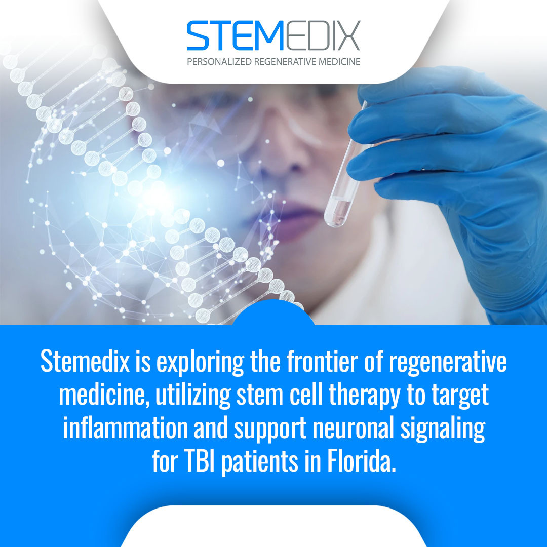 Stemedix 1 v2.jpg