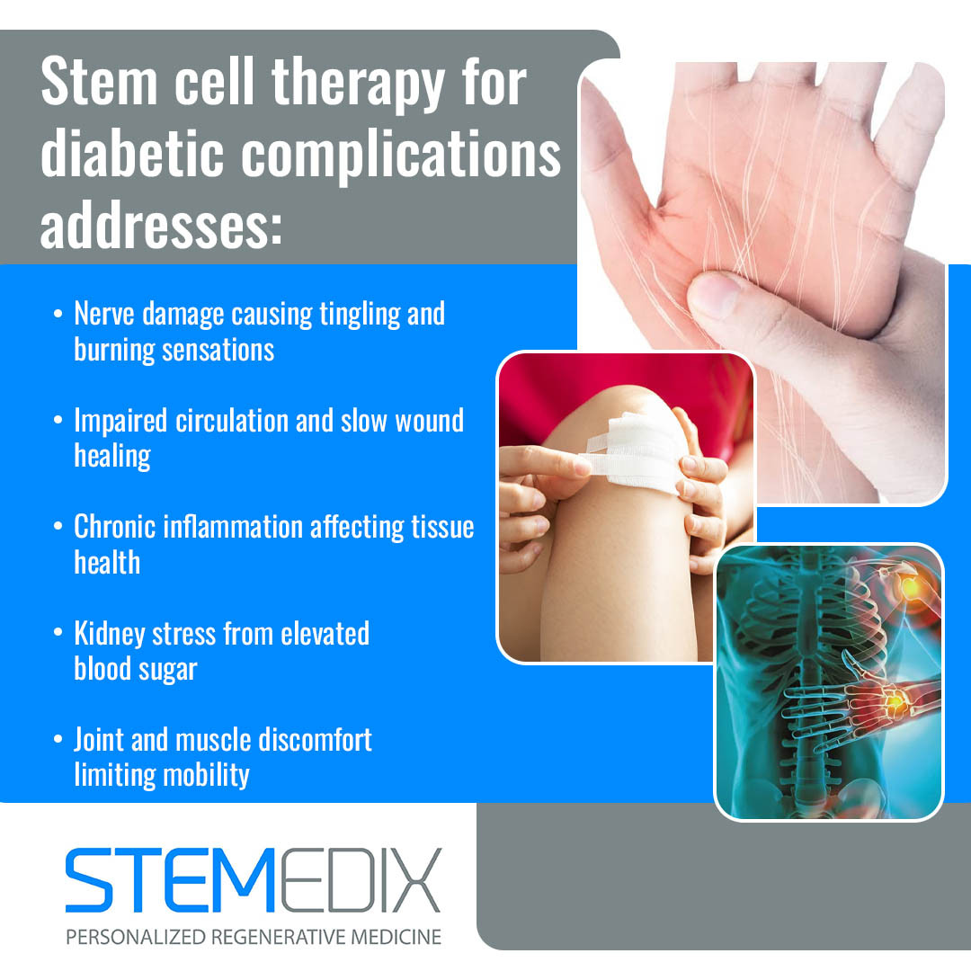 Stemedix 4 v2.jpg