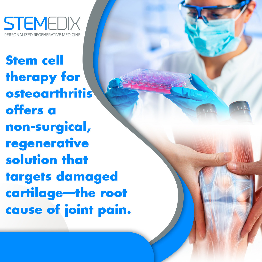 Stemedix 4 v2.jpg