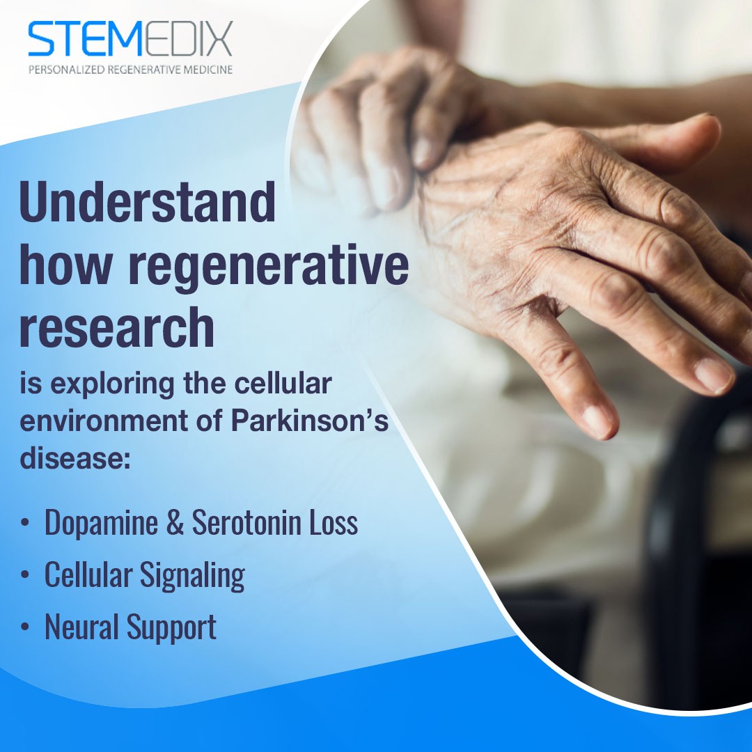 Stemedix 2 (ver 2).jpg