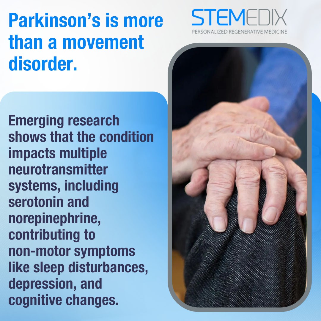 Stemedix 3 (ver 2).jpg