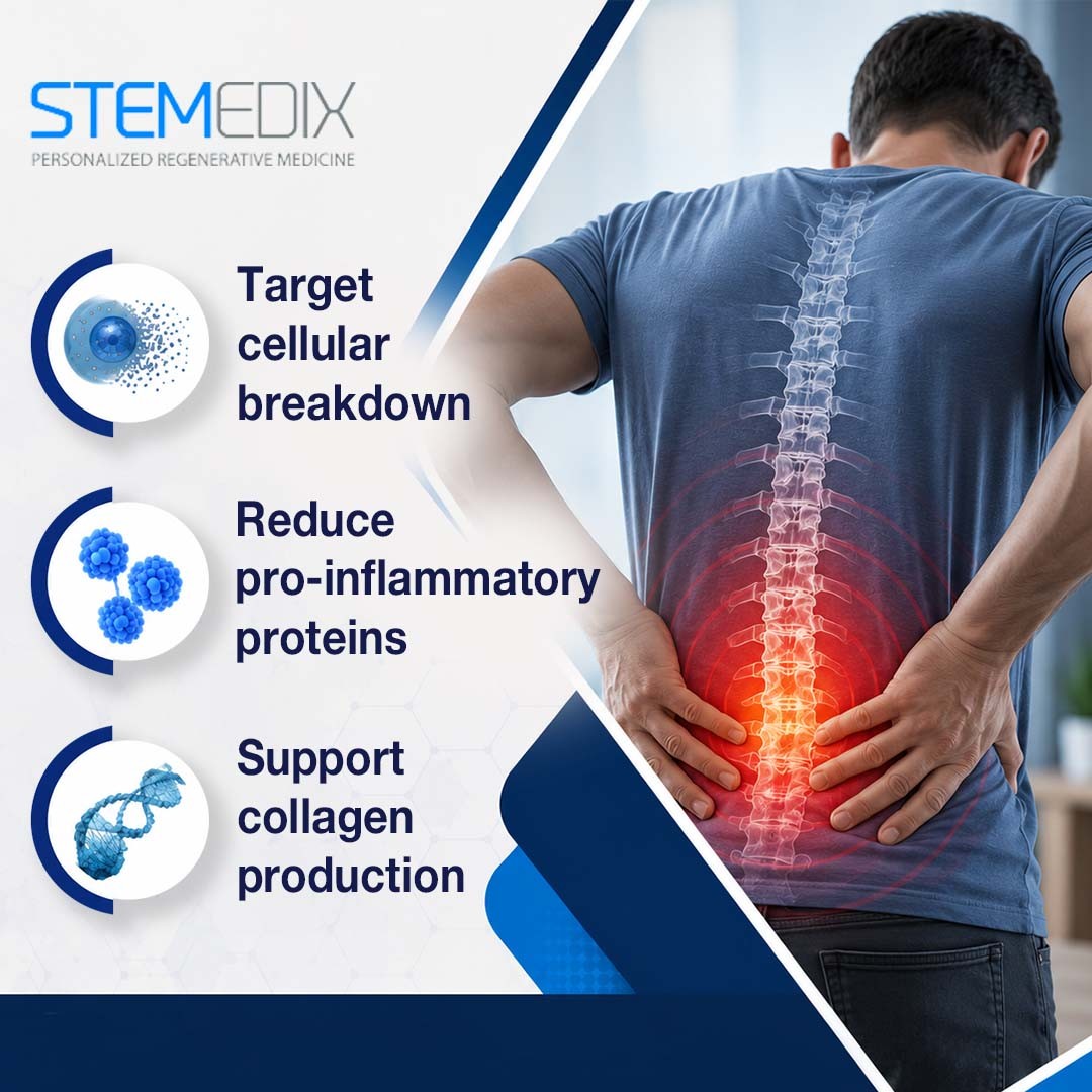 Stemedix 2 (ver 2).jpg