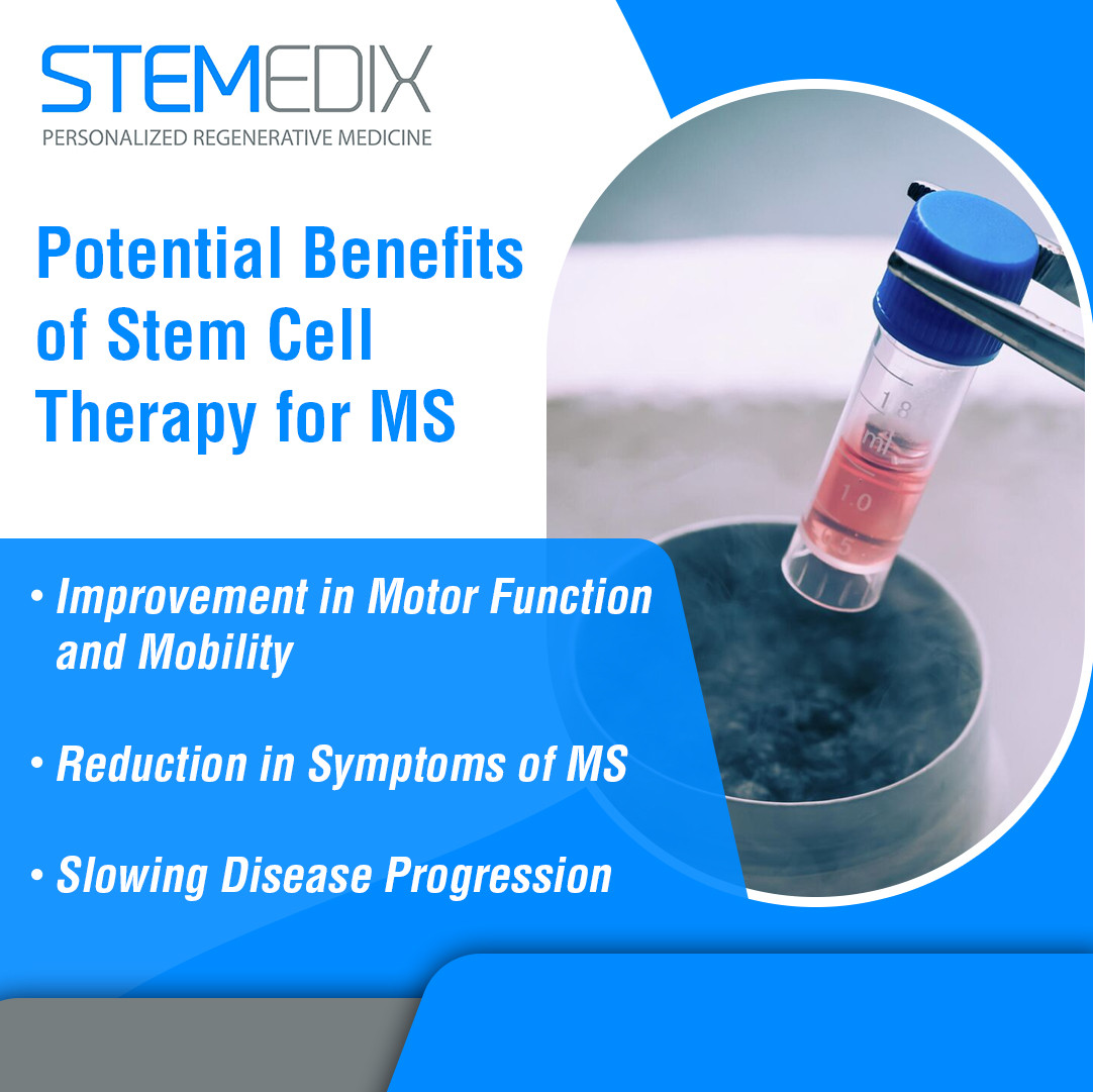 Stemedix 3 v2.jpg