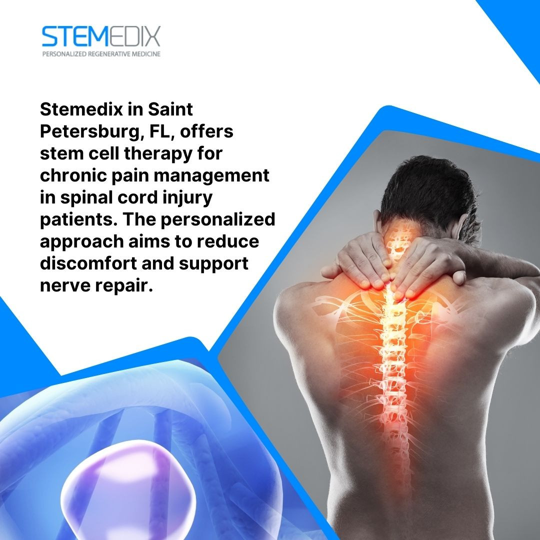 Stemedix 3.jpg