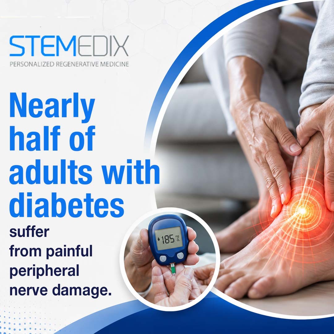 Stemedix 1 (ver 2) 1A.jpg
