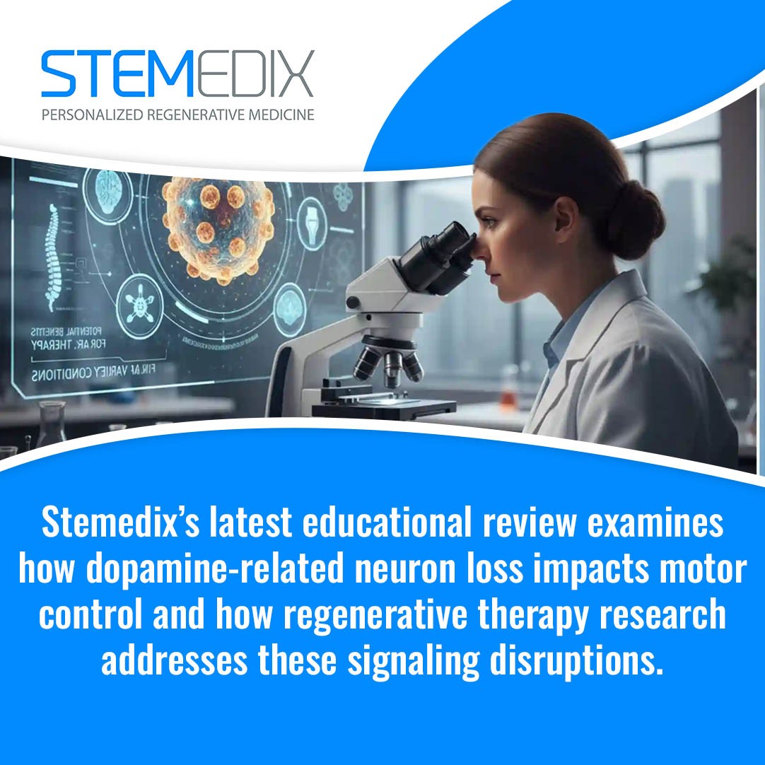 Stemedix 3 v2.jpg