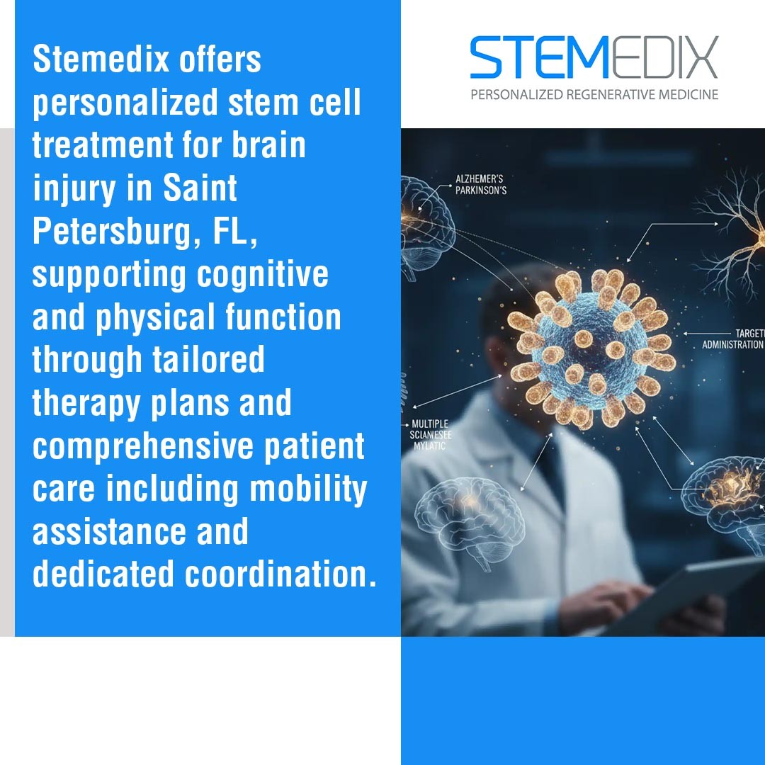 Stemedix 3 v2.jpg