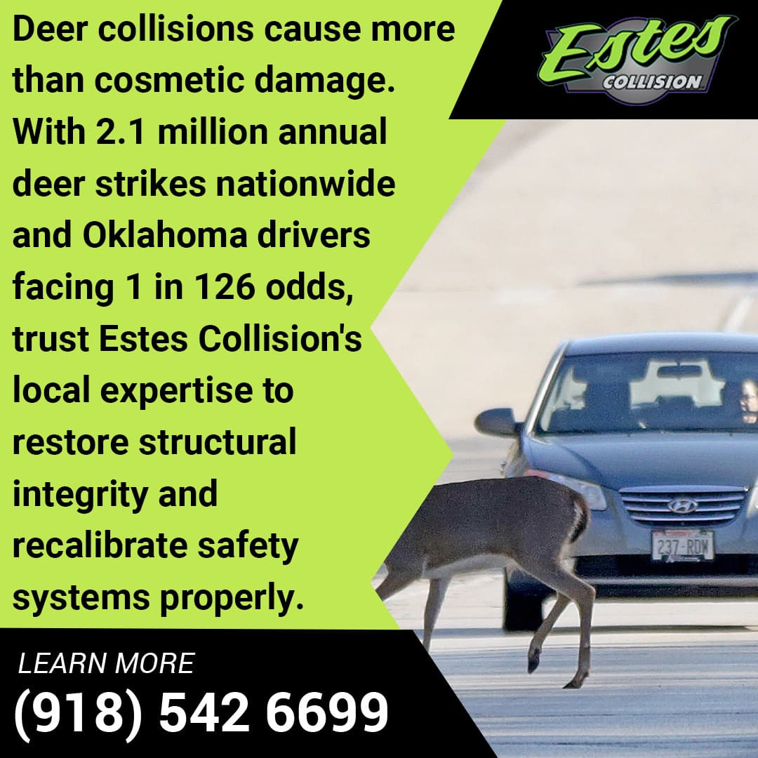 Deer Collision (1).jpg