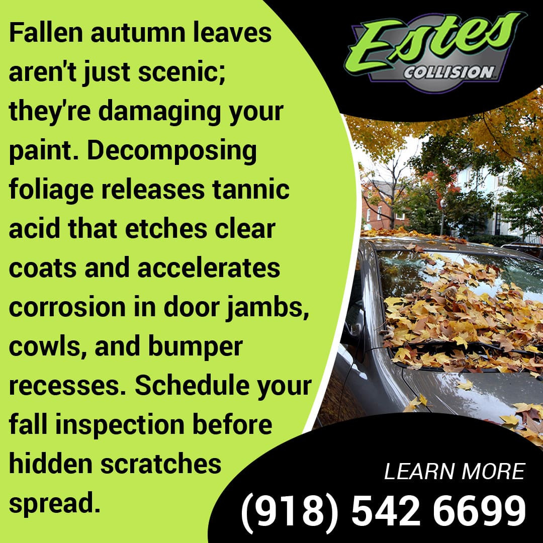 Autumn leaves fallen on car (1).jpg