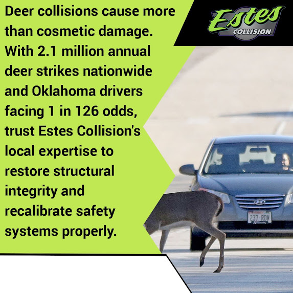 Deer Collision