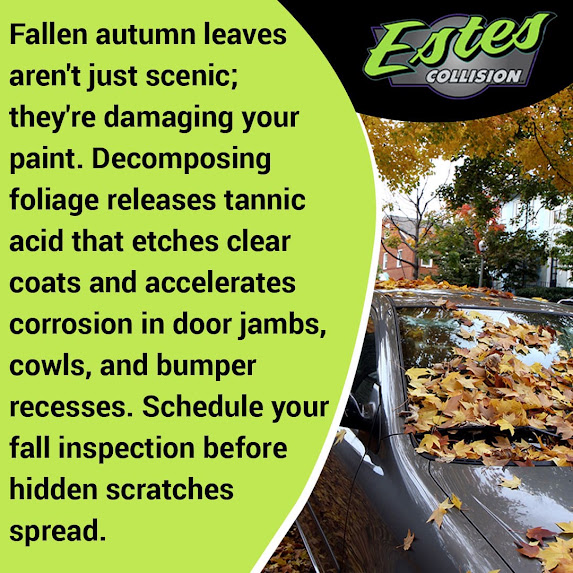 Autumn leaves fallen on car