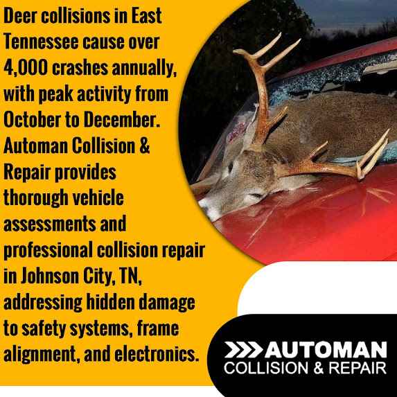 Deer collisions in East Tennessee