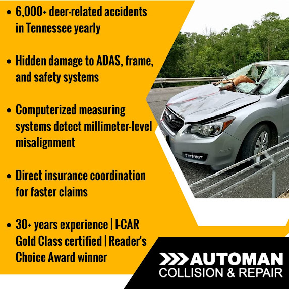 Deer collision