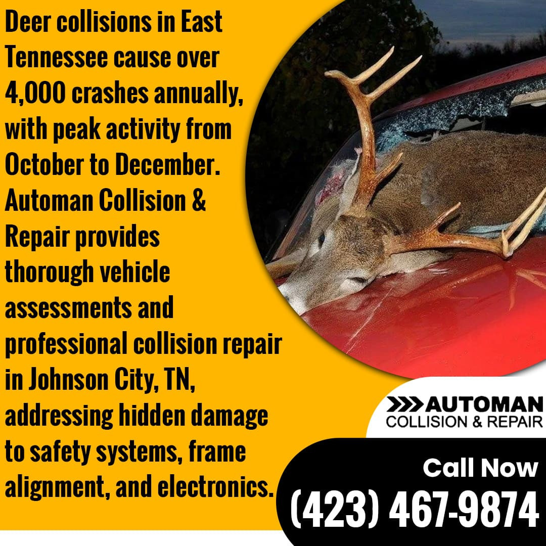 Deer collisions in East Tennessee (1).jpg