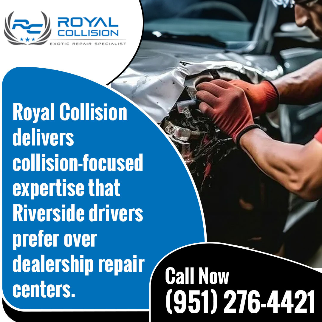 collision-focused expert (1).jpg