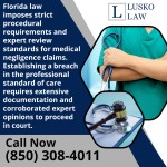 florida-medical-negligence-expert-review-standards.jpg