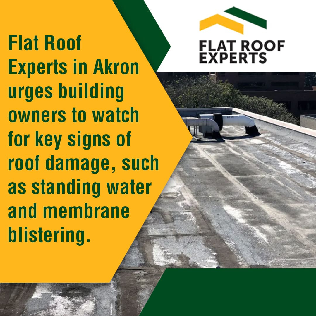 Flat Roof Experts - Signs of Damage.jpg
