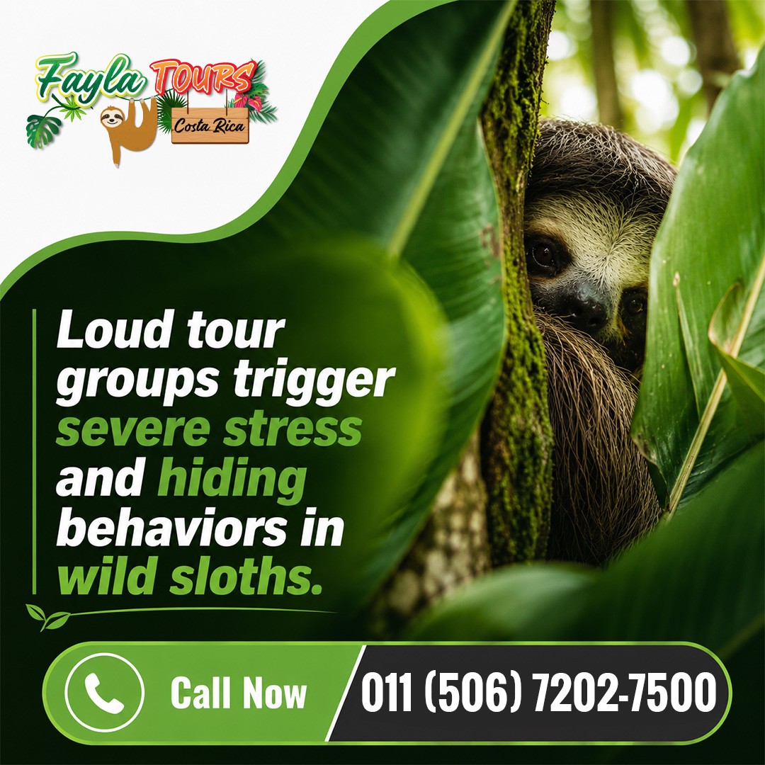 Costa Rica Fayla Tours 1.jpg
