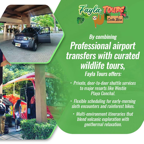 Professional Airport Transfers with Curated Wildlife Tours
