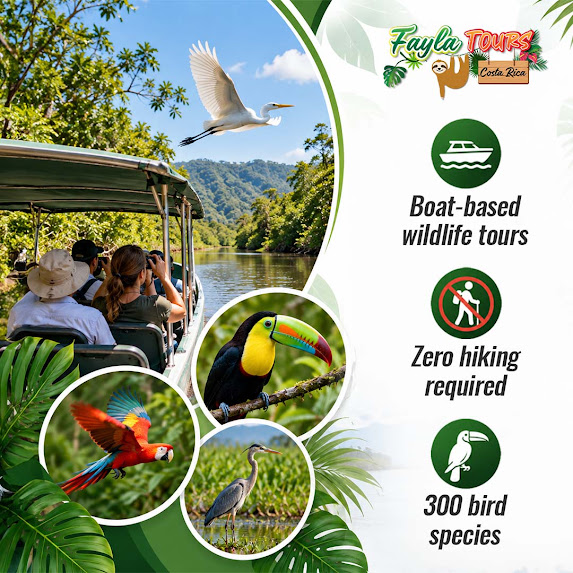 Boat-based wildlife tour