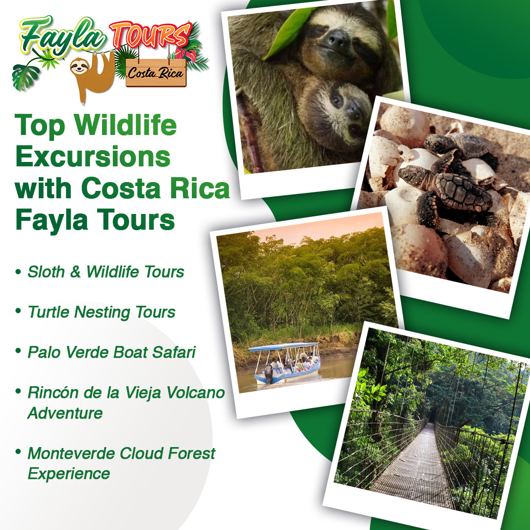 Costa Rica Fayla Tours 2 v2.jpg