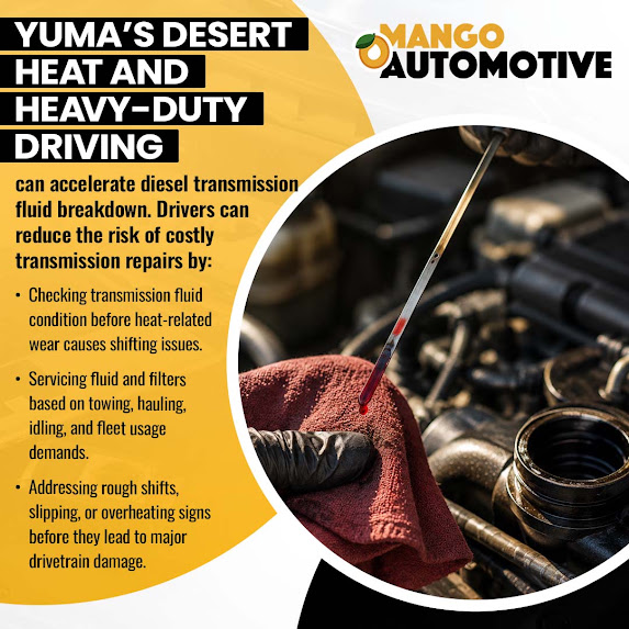 Diesel transmission fluid breakdown- Mango Automotive & Diesel (Yuma)