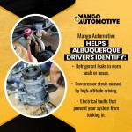 Mango Automotive - Cottonwood 2 (ver 2).jpg