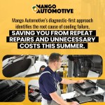 Mango Automotive - Cottonwood 1 (ver 2).jpg
