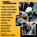 Mango Automotive - Cottonwood 3 (ver 1) (8).jpg
