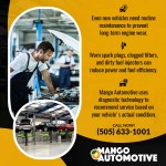 Mango Automotive - Cottonwood 2 (ver 1) (1).jpg