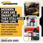 Mango Automotive - Cottonwood 1 (ver 1) (1).jpg