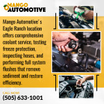 Mango Automotive - Cottonwood 1 (ver 1) (9).jpg