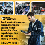 Mango Automotive - ALBUQUERQUE 1 (ver 1) (5).jpg