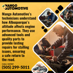 Mango Automotive - ALBUQUERQUE 2 (ver 1) (5).jpg