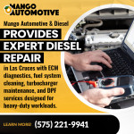 Mango Automotive & Diesel - LAS CRUCES 3 (ver 1) (8).jpg