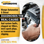Mango Automotive & Diesel - LAS CRUCES 1 (ver 1) (11).jpg