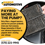 Mango Automotive & Diesel - LAS CRUCES 1 (ver 1) (9).jpg