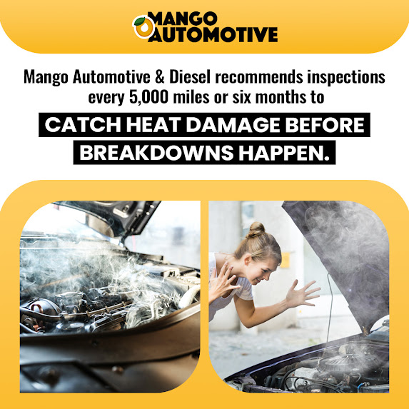 Mango Automotive & Diesel Keeps Las Cruces Vehicles on the Road