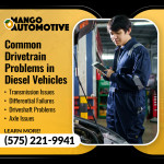 Mango Automotive & Diesel - LAS CRUCES 3 (ver 1) (1).jpg