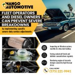 Mango Automotive & Diesel - LAS CRUCES 4 (ver 1) (1).jpg