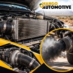 Mango Automotive & Diesel - LAS CRUCES 3 (ver 2) 2A.jpg