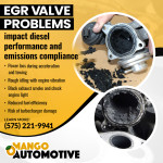Mango Automotive & Diesel - LAS CRUCES 4 (ver 1) (9).jpg